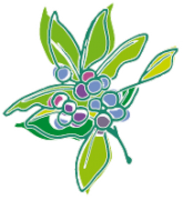 plante3x